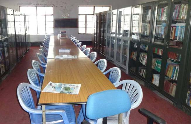 nsricm library